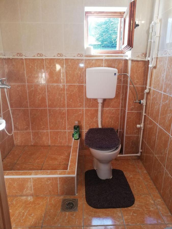 Appartement Golija Vikend Kuca Milenkovic à Raška Extérieur photo