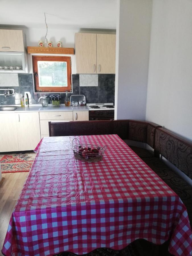 Appartement Golija Vikend Kuca Milenkovic à Raška Extérieur photo